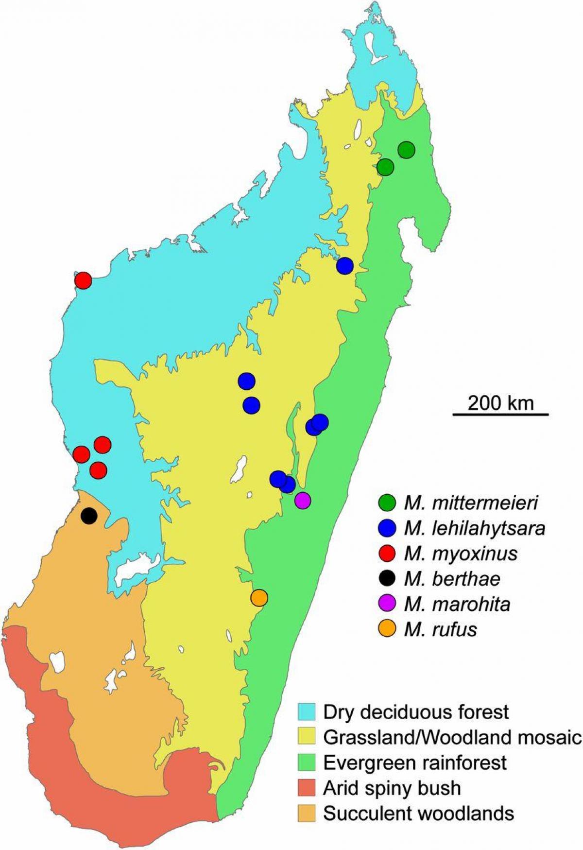 térkép Madagaszkár esőerdő