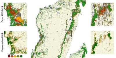 Térkép Madagaszkár erdőirtás