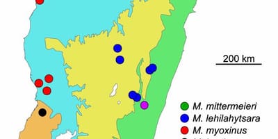 Térkép Madagaszkár esőerdő